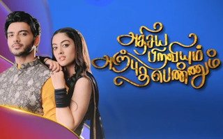 Adhisaya Piraviyum Arpudha Pennum - Vijay Tv Serial