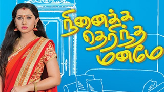 Ninaika Therintha Maname-Vijay tv Serial