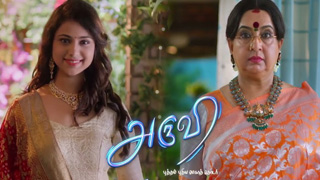 Aruvi-Sun TV Tamil Serial