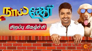 Sun tv Pongal Special program