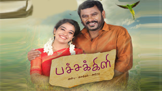 Pachakili - Colors Tamil Serial