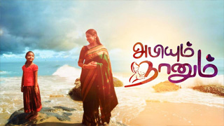 Abiyum Nanum - Sun TV Serial