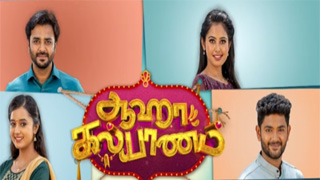 Mouna Raagam - Vijay Tv Serial